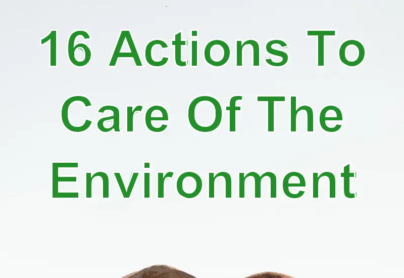 16 Actions To Care Of The Environment