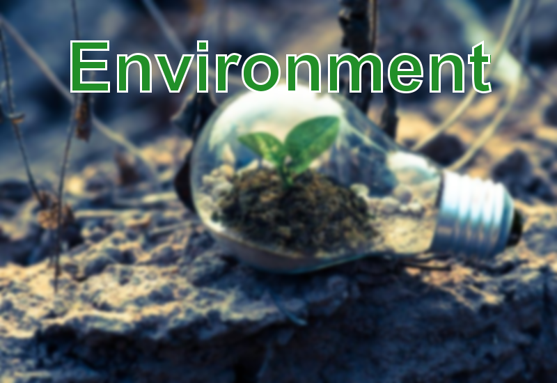 Environment: How To Achieve A Lifestyle ... - El Popular