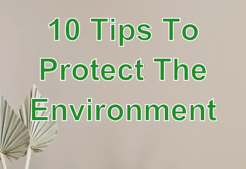 10 Tips To Protect The Environment