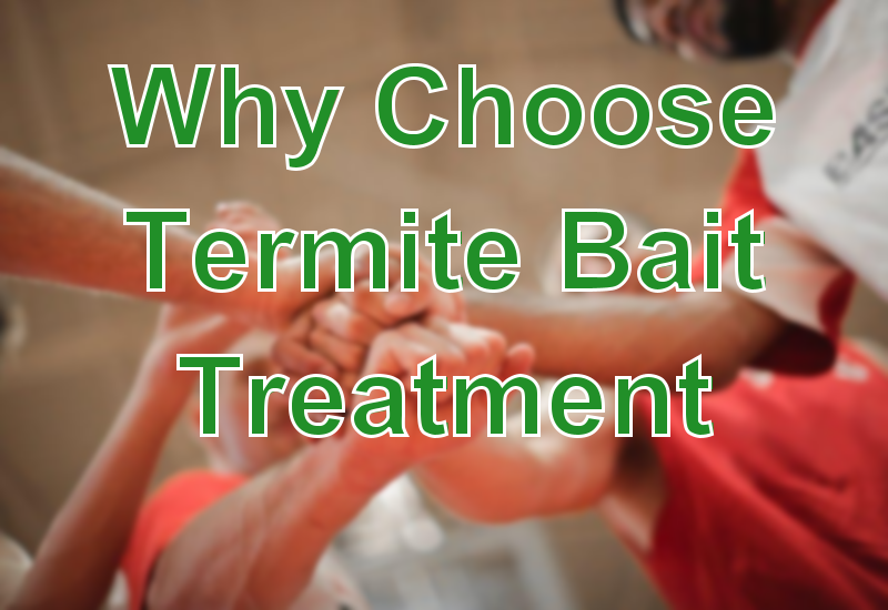 Why Choose Termite Bait Treatment...