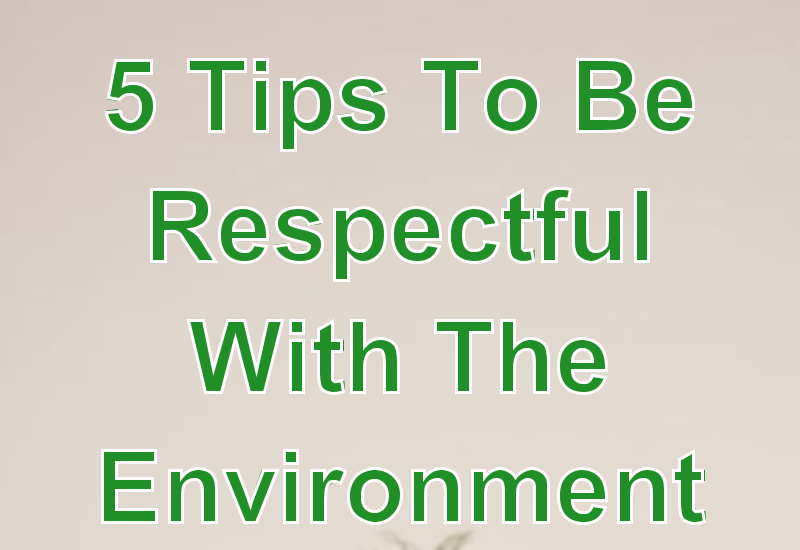 5 Tips To Be Respectful With The Environment (and ...