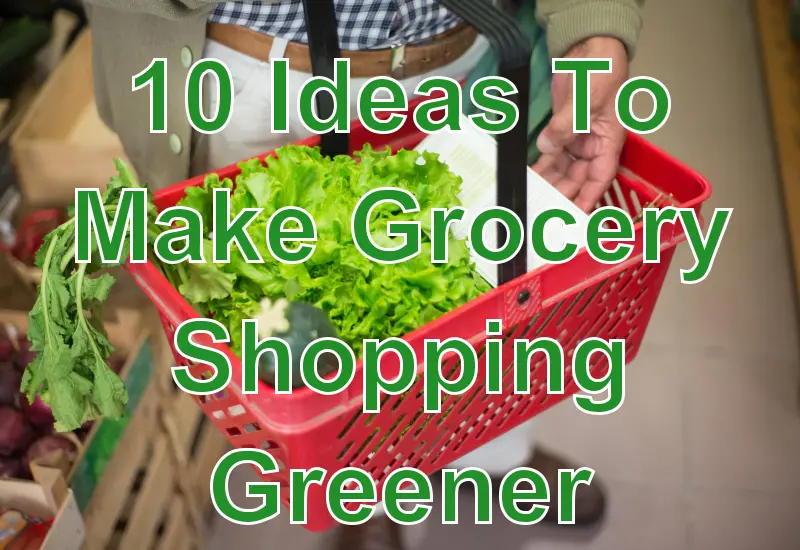 10 Ideas To Make Grocery Shopping Greener