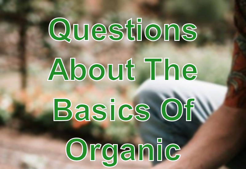 Questions About The Basics Of Organic Farming