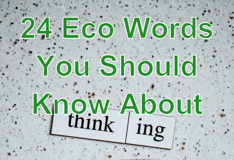 24 Eco Words You Should Know About